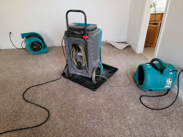Best Water damage cleanup near me  in Coal City, IL