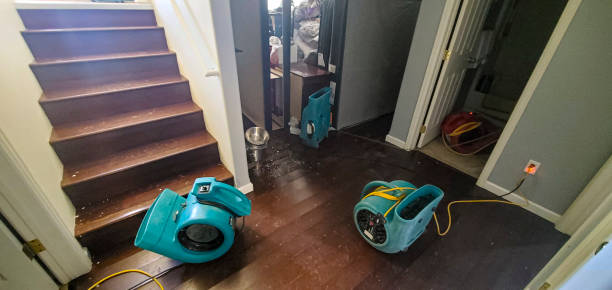 Best Commercial water damage restoration  in Coal City, IL