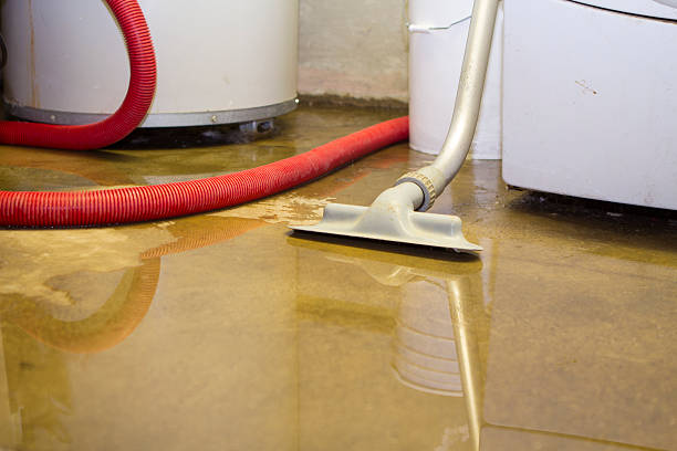 Best Emergency water damage restoration  in Coal City, IL