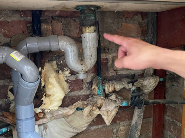 Best Water damage cleanup near me  in Coal City, IL
