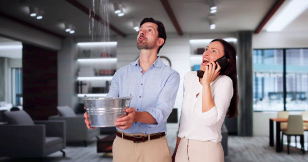 Best Flood restoration services  in Coal City, IL
