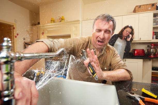 Best Ceiling water damage repair  in Coal City, IL